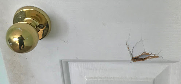 interior door hole repair Imperial